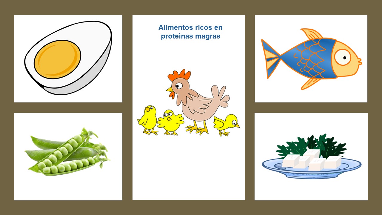 Alimentos ricos en proteinas magras